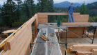 Log walls going up -- note the use of scaffolding for ease of assembly.