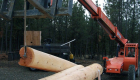 Start of log stack, 1st vertical corner being prepared.