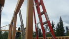 Ridge beam in place.